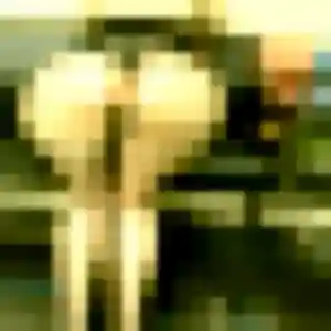 Photo perso de Albane, 41 ans à Coucy-lès-Eppes - rencontre coquine