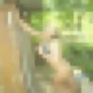 Eglantine, 39 ans, dispo pour plan cul à Courcelles-sur-Seine