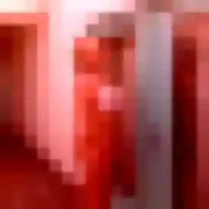 Elodie (37 ans) à Courpalay attend une rencontre rapidement