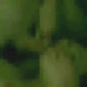 Profil de Rosalie à Cours-les-Barres (31 ans) - plan cul discret