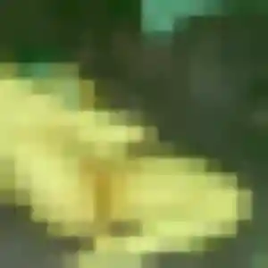 Ximena (42 ans) à Cours cherche un plan cul aujourd'hui
