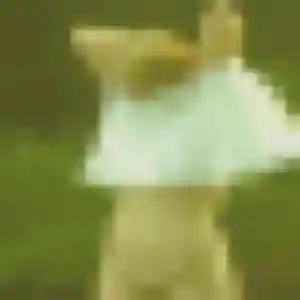 Photo de Alessandra à Coutouvre (35 ans) - plan cul discret