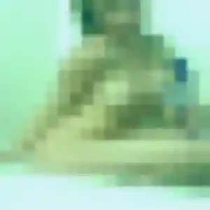 Profil de Lamia à Crulai (26 ans) - plan cul sans inscription