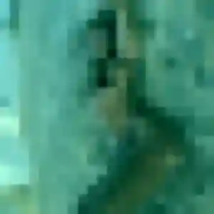 Zephyrine, femme de 27 ans cherche plan cul à Cuffy