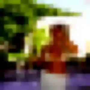 Photo de Rosalie à Damgan (43 ans) - plan cul anonyme