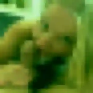 Elvire, 28 ans, cherche un plan cul à Darnieulles