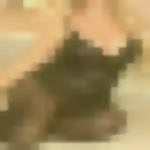 Clotilde, 44 ans, connectée à Dasle pour une rencontre coquine