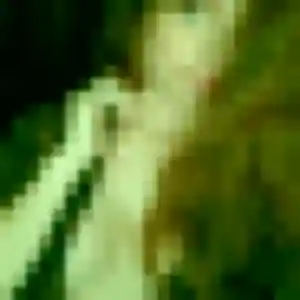 Photo de Marie-Claire à Déols (38 ans) - plan cul anonyme