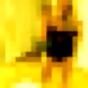 Photo privée de Charlotte, 22 ans à Diesen - plan discret