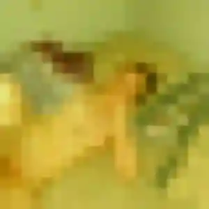 Photo de Lisette à Dingé (35 ans) - plan cul sans inscription