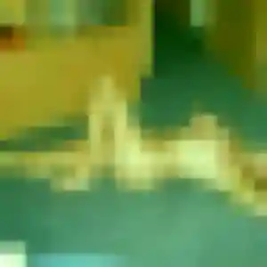 Photo de Ibtissam à Domloup (24 ans) - plan cul anonyme