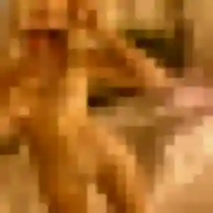 Isabelle, 27 ans, dispo pour plan cul à Dompierre-sur-Yon