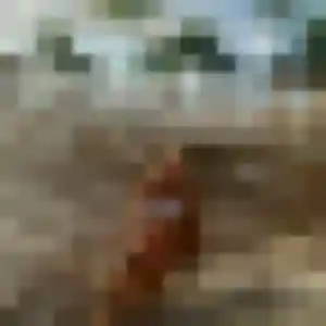 Yvonne, femme de 44 ans veut plan cul à Dornes