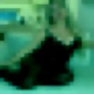 Sibylle, fille de 45 ans cherche plan cul à Eckwersheim