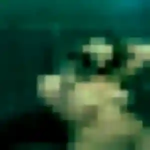 Photo privée de Sofia, 41 ans à Ecques - rencontre coquine