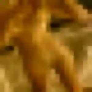 Noura, 43 ans, en ligne à Éloie pour une rencontre coquine