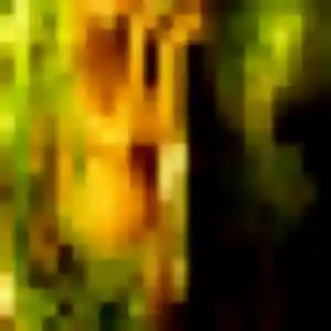Photo privée de Blanche, 26 ans à Émancé - plan discret