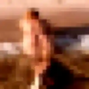 Charmante Brune, 31 ans à Émancé - découvrir son profil