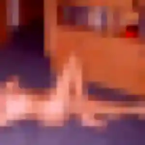 Photo exclusive de Ilona, 35 ans à Ergué-Gabéric - rencontre sans lendemain