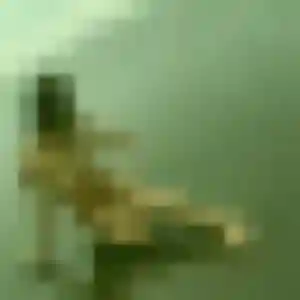Photo sexy de Melodie, 38 ans à Escoussens - rencontre sans lendemain