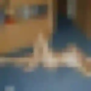 Tatyana, 44 ans, cherche un plan cul à Espaly-Saint-Marcel