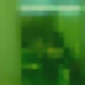 Jolie Yvonne, 38 ans à Estevelles - voir sa photo