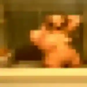 Photo exclusive de Elena, 37 ans à Étreux - rencontre sans lendemain