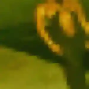 Photo de Isabella à Évellys (41 ans) - plan cul anonyme