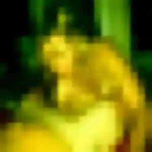 Alessandra, fille de 33 ans cherche plan cul à Évron