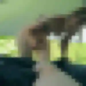 Photo perso de Janine, 25 ans à Farges-lès-Chalon - rencontre coquine