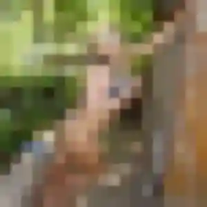 Photo exclusive de Meriem, 26 ans à Féchain - rencontre coquine