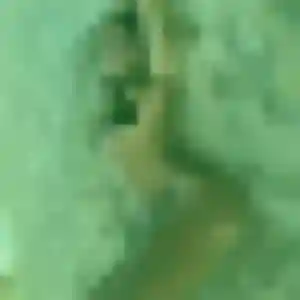 Photo de Gabrielle à Feneu (22 ans) - plan cul anonyme