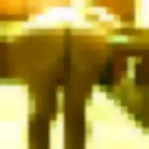 Salome, 43 ans, veut un plan cul à Ferques