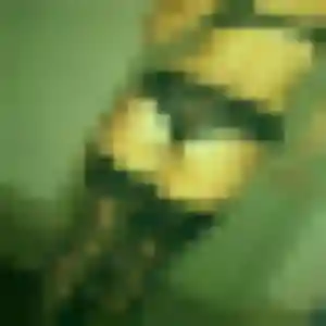 Photo perso de Martine, 24 ans à Féy - rencontre coquine