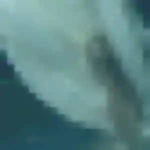 Profil de Christine à Foussignac (24 ans) - plan cul anonyme