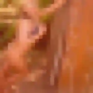 Leana, 44 ans, dispo pour plan cul à Freistroff
