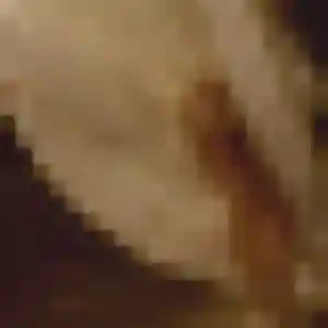 Contacte Helena, 42 ans à Frépillon gratuitement