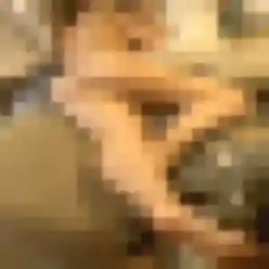 Marine, 44 ans, disponible à Fresquiennes pour un plan cul
