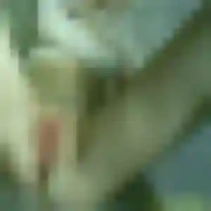 Profil de Katia à Frignicourt (24 ans) - plan cul discret