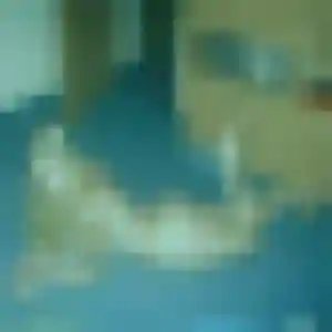 Valentina, 45 ans, connectée à Gaillac-Toulza pour une rencontre coquine