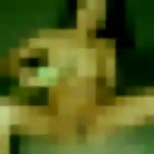 Photo sexy de Constance, 42 ans à Gallardon - plan discret