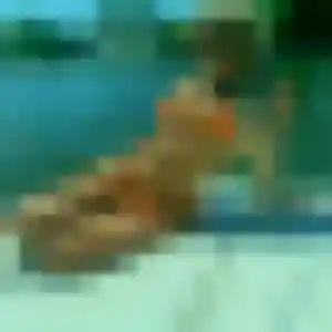 Photo exclusive de Vinciane, 32 ans à Générargues - rencontre coquine