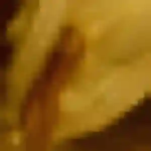 Kenza, 37 ans, disponible à Genilac pour une rencontre coquine