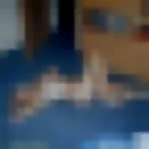 Veronique, 22 ans, dispo pour plan cul à Gensac-la-Pallue