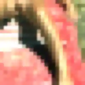 Photo perso de Nora, 44 ans à Gillonnay - rencontre sans lendemain