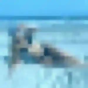 Bettina (31 ans) à Grauves cherche un plan cul ce soir