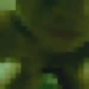 Photo de Aisha à Grosbliederstroff (44 ans) - plan cul anonyme