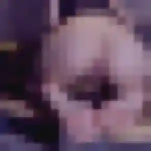 Profil de Henriette à Guerting (32 ans) - plan cul anonyme