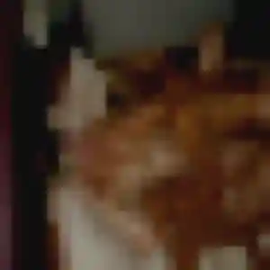 Laure (28 ans) à Gueugnon propose une rencontre maintenant