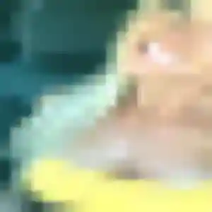 Clara, 28 ans, dispo pour plan cul à Guewenheim
